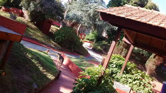<?php echo $tipo;?> en <?php echo $balneario;?>