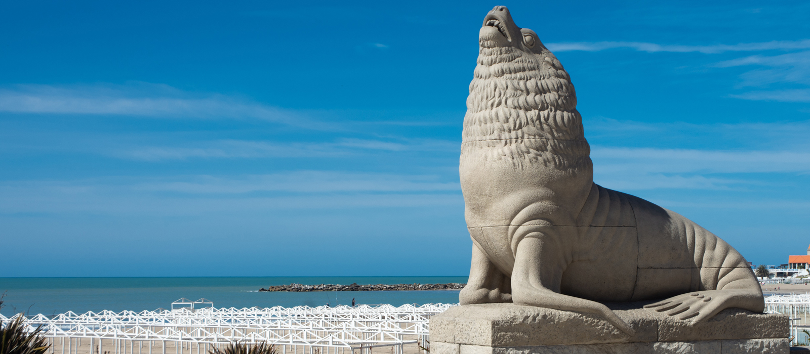 Alquiler Mar del Plata