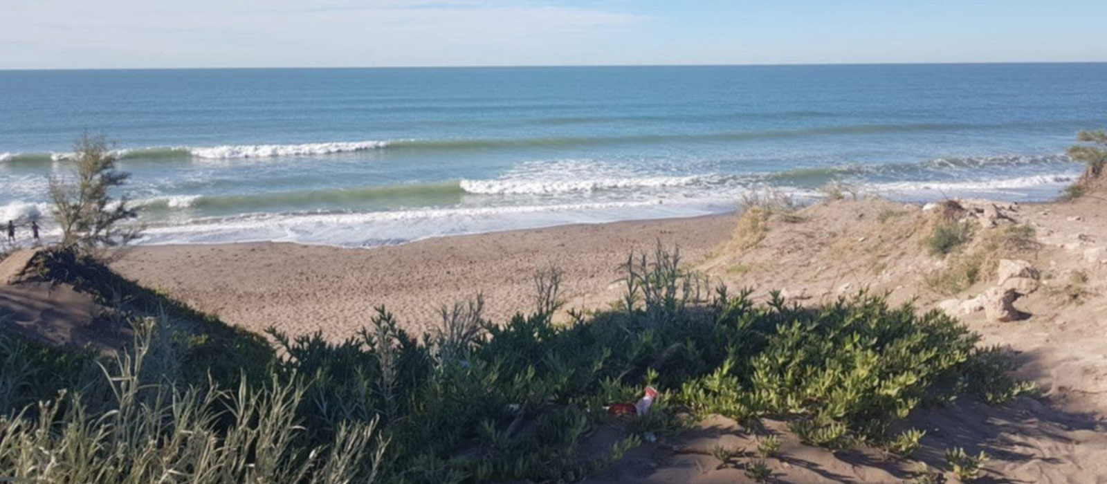 Alquiler Pehuén-Có