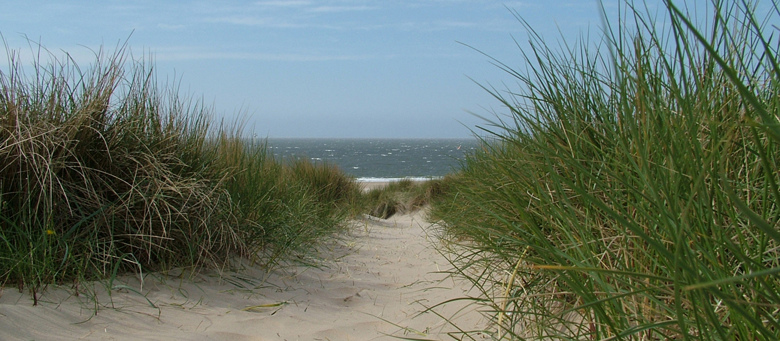 Alquiler San Clemente del Tuyú
